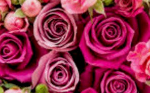 Happy Valentine's Day