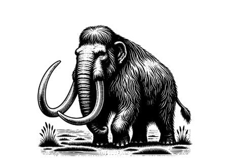 The Woolly Mammoth