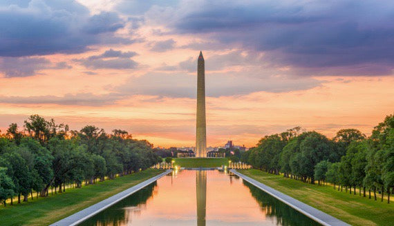 Proposal: Optimize the Executive Branch