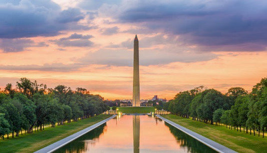 Proposal: Optimize the Executive Branch