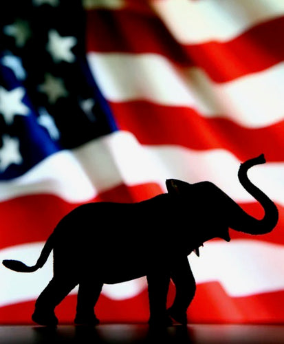 The Republican Party