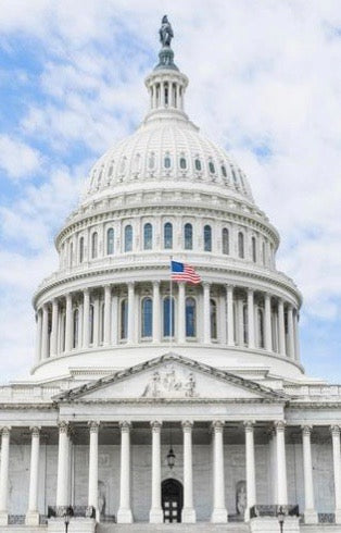 Electoral Vote Certification