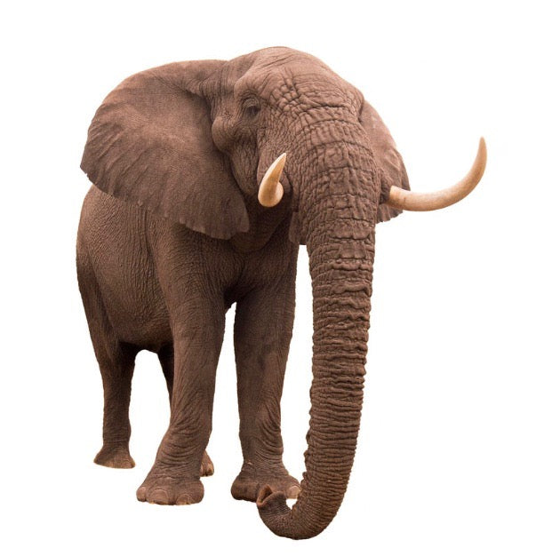 American Icon: Republican Party Mascot