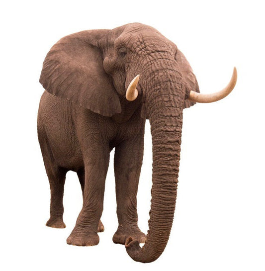 American Icon: Republican Party Mascot