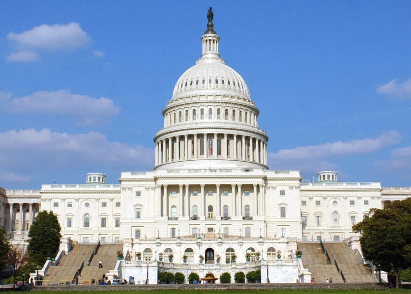 Proposal: Financial Disclosures for Members of Congress