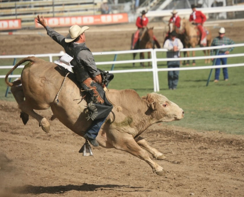 Republicman Bull Rider