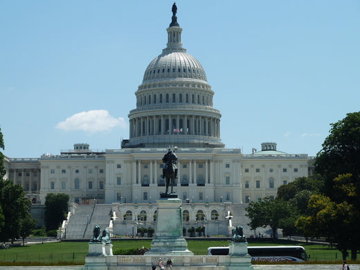 The Electoral College