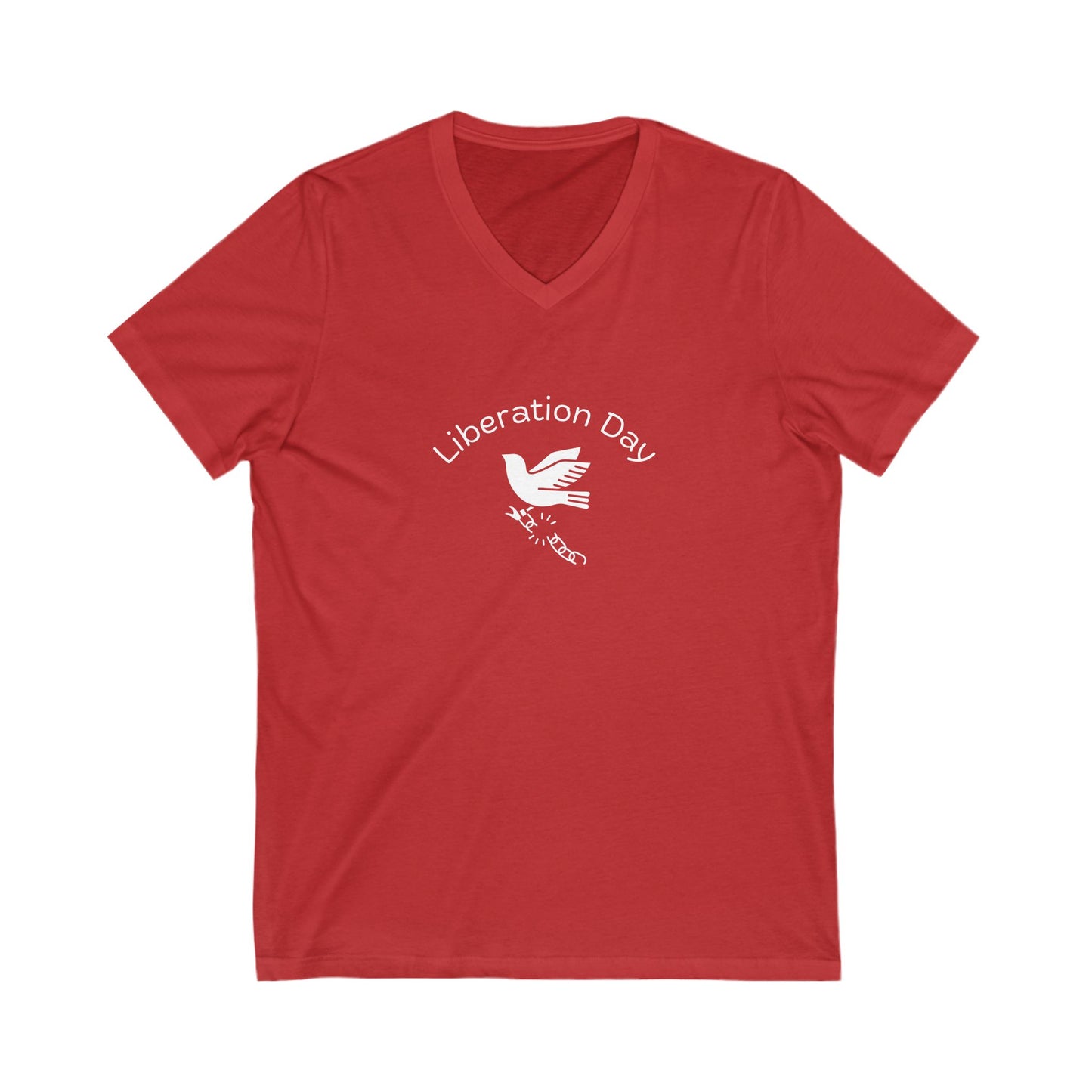 Awesome: Liberation Day (V-Neck)