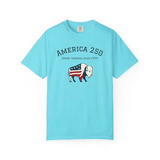 T-Shirt: America 250 Bison