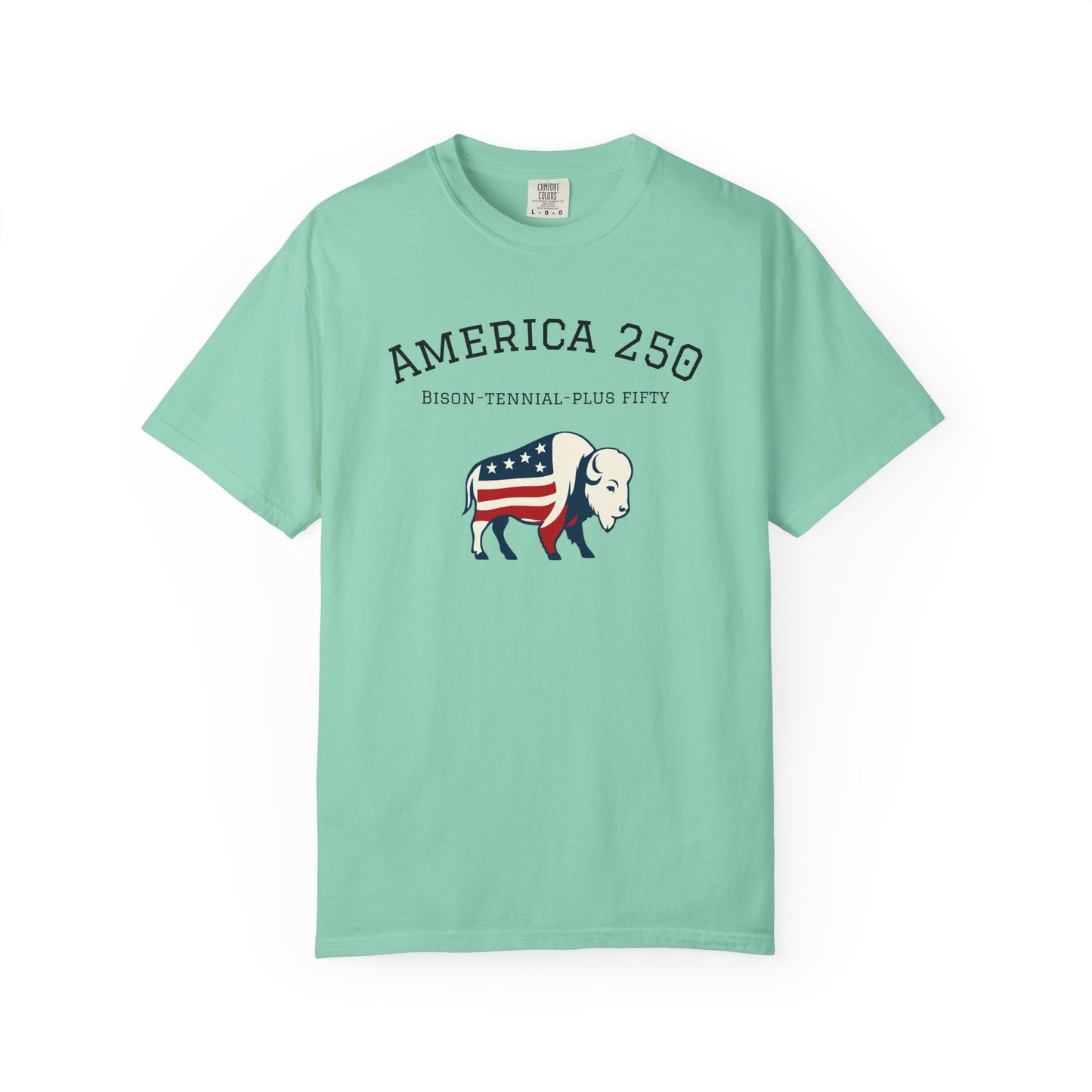 T-Shirt: America 250 Bison